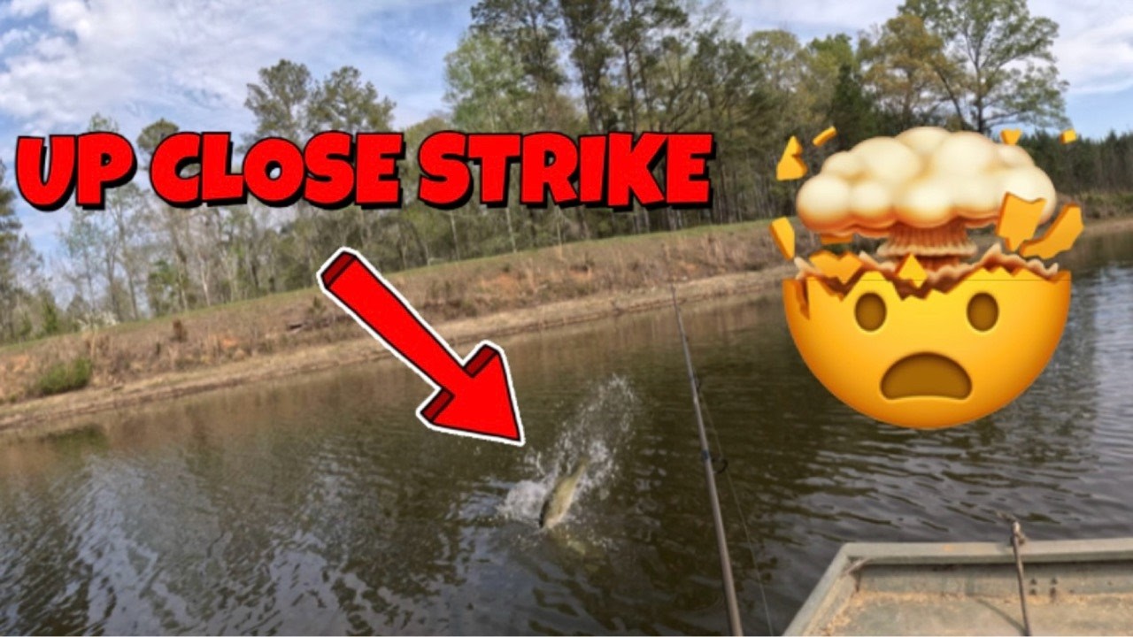 Bass goes flying to eat my lure! #outdoors #fishing #bassfishing #lake