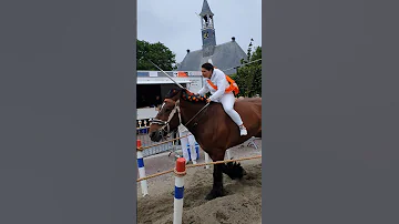 ?? Ringrijden Koudekerke ????  Nederland @TravelwithHugoF  #ringrijden #horses #koudekerke #netherlands