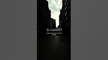 من سورة آل عمران | #القرآن_الكريم #اكسبلور #لايك #تلاوات #حالات_واتس #القران #تلاوه