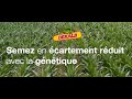 Semez en cartement rduit avec la gntique dekalb