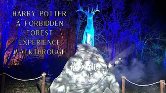 Harry Potter A Forbidden Forest Experience - POV Walkthrough