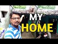 My first vlog   village home  my old house 