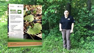 Invasive Plants  Impact on Environment and People Lesson Plan Sneak Peek
