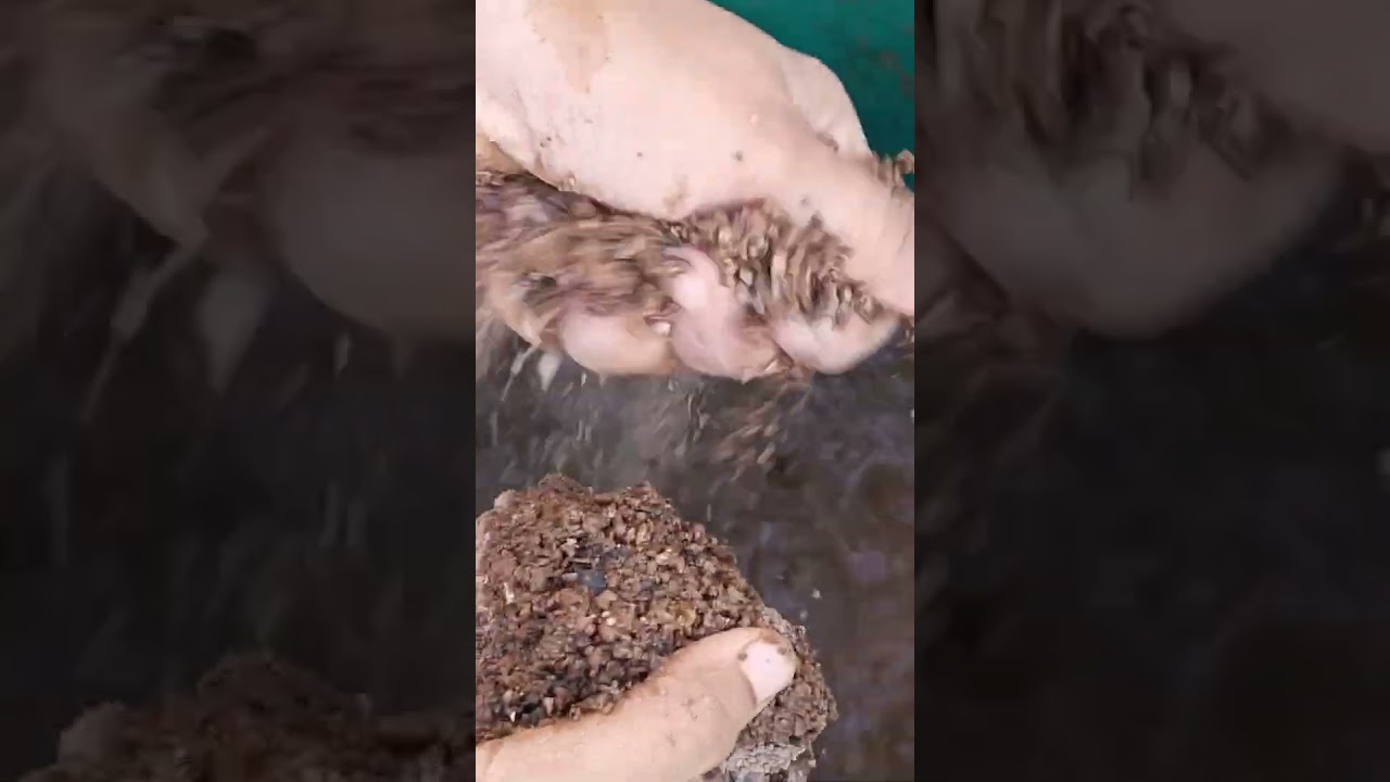 extra gritty texture crumbling 