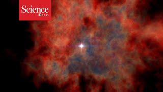Ancient Supernovae Might Have Upended Earths Evolution