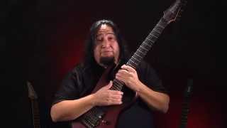 FEAR FACTORY - Seymour Duncan RETRIBUTION - Dino Cazares Signature Active Pickups