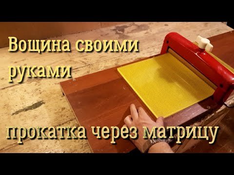 Видео: Как да пътувате в чужбина с животно