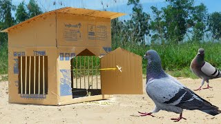 Bird Trap House New Creative Unique Quick Bird Trap Using Cardboard _ Bird Trap Working 100%