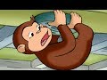 おさるのジョージ 🐵コオロギに参った🐵TVアニメシリーズ 🐵 フルシーズン1 🐵