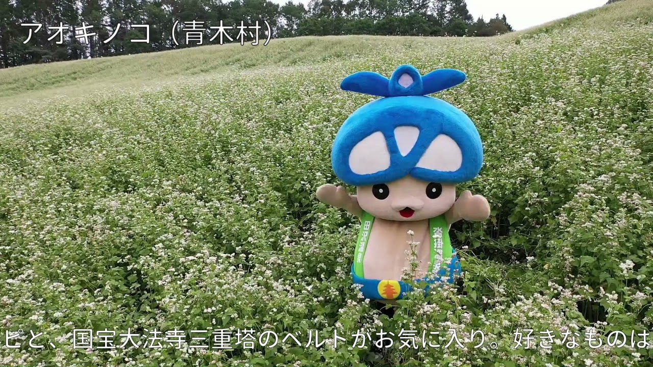 アオキノコ | アルクマ オフィシャルサイト｜信州売り出し中！アルクマ