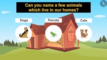 Animal Kingdom | Part 1/1 | English | Class 3