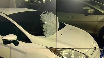 Ask Trooper Steve: Trash on car OK?