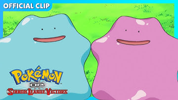 Double Ditto Drama | Pokémon: DP Sinnoh League Victors | Official Clip