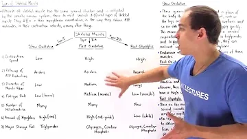 Jaký je svalstvo krku?