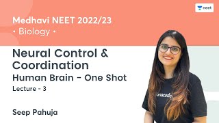 Neural Control & Coordination | Brain - One Shot | L3 | NEET 2022/23 | Seep Pahuja