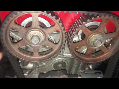 H22 timing belt again?!?! - YouTube