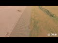 Swathing  in Central Saskatchewan 2020 FPV Style