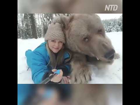 Vidéo: Modèles Russes Déshabillés En Compagnie D'un Ours