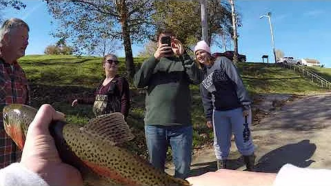 Trout Fishing the Cumberland River Pt.1 ( Wolf Creek Dam)
