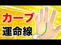 【手相】人気者になる☆人に恵まれる手相【運命線】