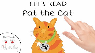 PAT THE CAT | Early Reading Book Animation | -AT words