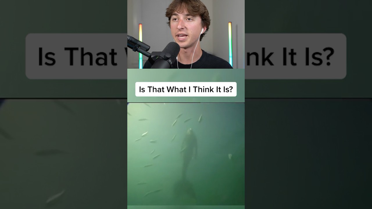 Proof That Mermaids EXIST! 😱