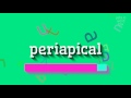 How to say "periapical"! (High Quality Voices)