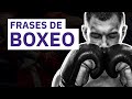 20 Frases de Boxeo 🥊 | Lucha dentro y fuera del ring