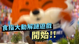 挑戰你網美觀念，食指大動解謎遊戲，開始！！