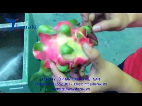 THỬ NGHIỆM PHUN RỬA THANH LONG - 0973.286.995 - 0971.552.381