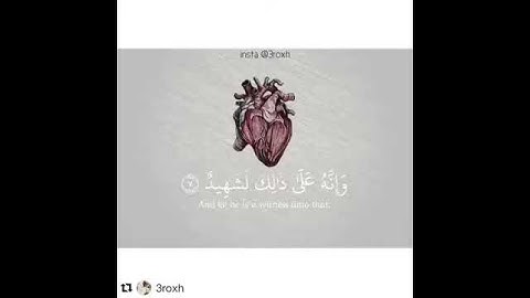 القرآن الكريم مقاطع انستقرام