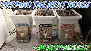 STARTING SO MANY HUMBOLDT BEANS!!