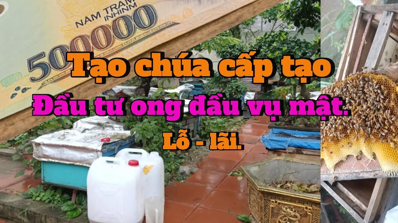 Tự làm chúa cấp tạo + Nuôi 50 đàn ong 4 cầu – Đầu tư hay mạo hiểm
