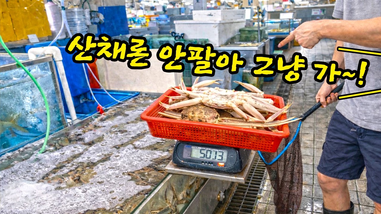 적반하장 소래포구, 저울치기가 안 통하자 결국 산채로 판매를 중단한 대게 상인(입문철TV EP.33)