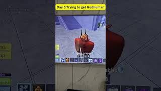 How To Get God Human 5 in Blox Fruits
