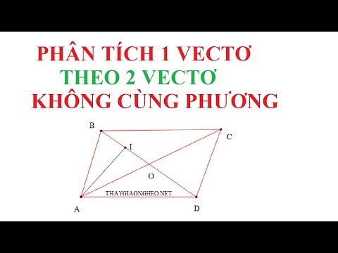 Video: Làm Thế Nào để Giải Quyết Một Vectơ