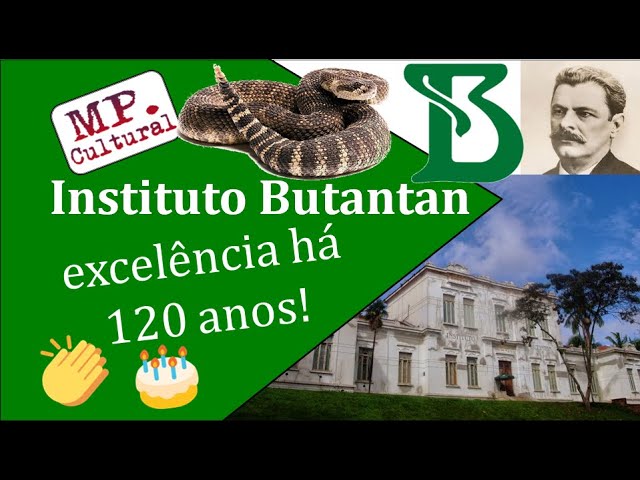 Vídeo: Baiano usa comédia para contar história do Instituto Butantan em  celebração aos 120 anos - Bahia