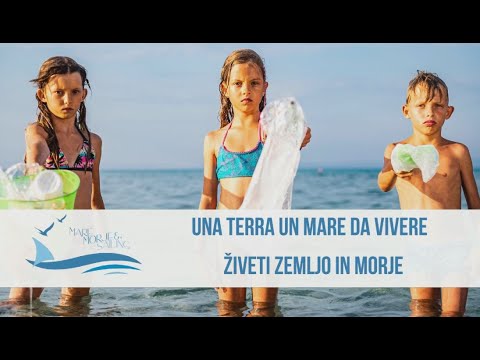 Mare Morje Sailing - Video di apertura