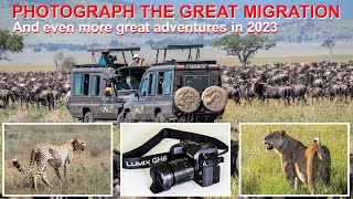 THE GREAT MIGRATION 2023 and other great photography tours - shot on Panasonic Lumix GH6 and G9