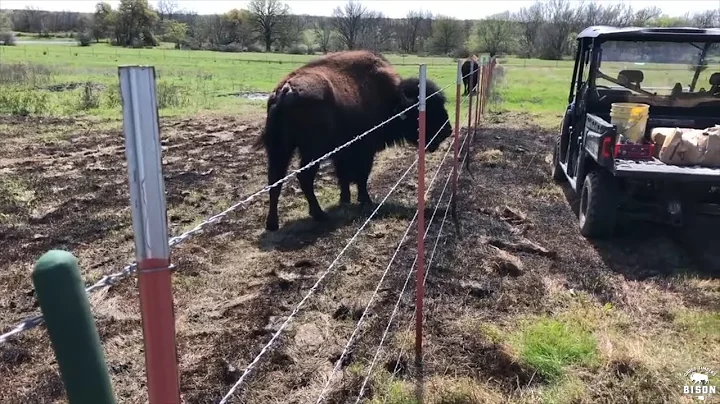 Building a NEW Fence at the Old Ranch