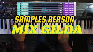 Mix Gilda Samples Reason