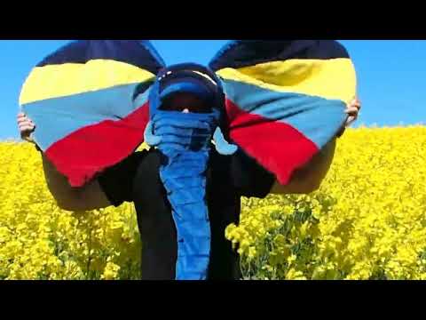 Bilo šou –