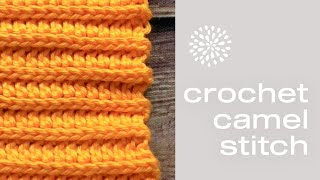 Crochet Camel Stitch Video Tutorial Step by Step | 3rd Loop Half Double Crochet | 3rd loop HDC