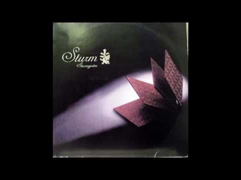 Sturm — Sturm ‎– Sturmgesten (Mille Plateaux, 1999) Full Album [Ambient/Experimental/Techno]