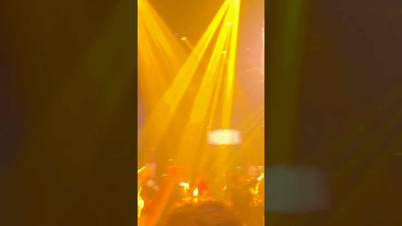 Lights, Music, Goa Energy, Pub Nights 🎶✨