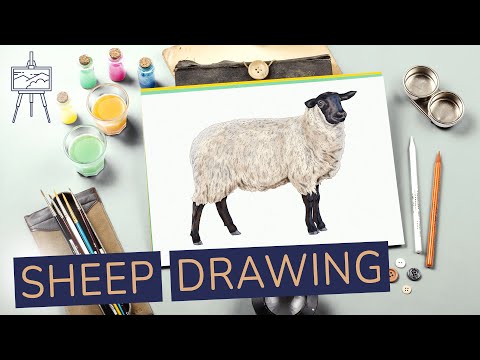 Sheep sketch style Hand drawn illustration of  Stock Illustration  85628657  PIXTA