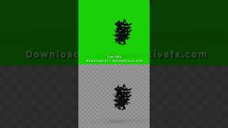 Crow Raven Transition Free Download #vfx shorts