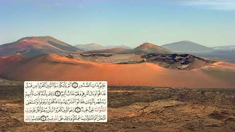 556-page - سعد الغامدي - -سورة التغابن -AT-TAGABUN / LA GRANDE PERTE - 64