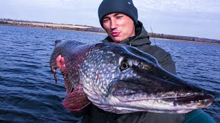 How to Catch Pike and Zander in Early Spring Effective Baits and Fishing Techniques