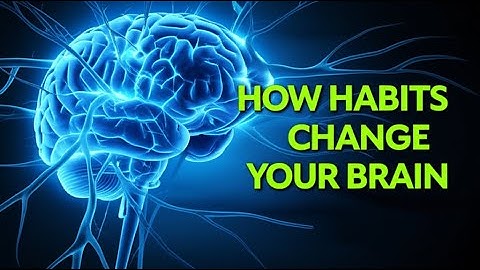 Habits: How They Physically Rewire Your Brain (A Visual Guide)